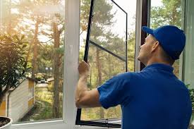 Best Custom Windows in Mount Olive, NC